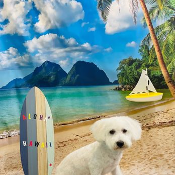 Highland Pets - Pet Groomers Near Me - Holladay, Utah Highland Pets - Pet Groomers Near Me - Holladay, Utah