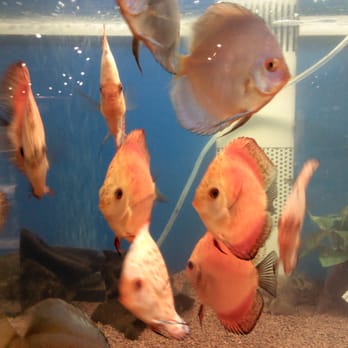 Fressnapf - Pet Stores Near Me - Berlin, BE Fressnapf - Pet Stores Near Me - Berlin, BE