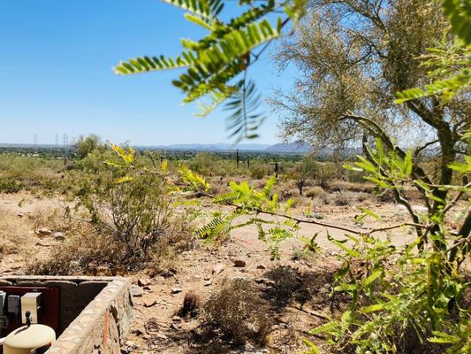 Taliesin West by null