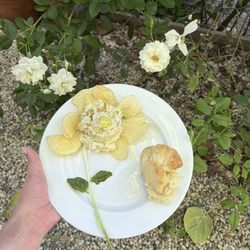 The Ridge Cafe - Potato salad and homemade biscuit!