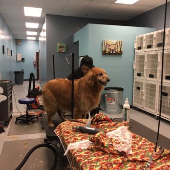 The Pet Parlor Mobile - My girl loves The Pet Parlor! And so do I! - Pet Groomers Near Me