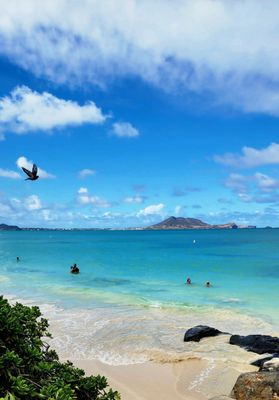 Kailua Beach Park by null