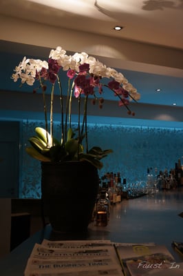 Naumi Hotel Singapore by null