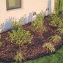 Photo of Simply Lawn Service