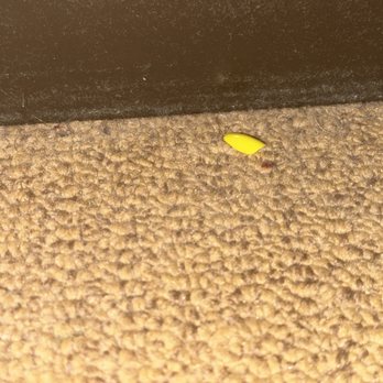 MGM Grand - Fake nails left from other guests - Hotels Near Me - Detroit, Michigan MGM Grand - Fake nails left from other guests - Hotels Near Me - Detroit, Michigan