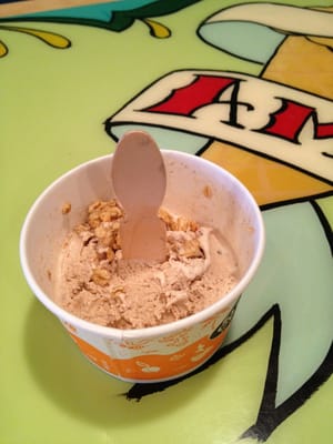 Amy's Ice Creams by null