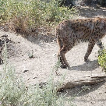 Animal Ark - Zoos Near Me - Reno, Nevada