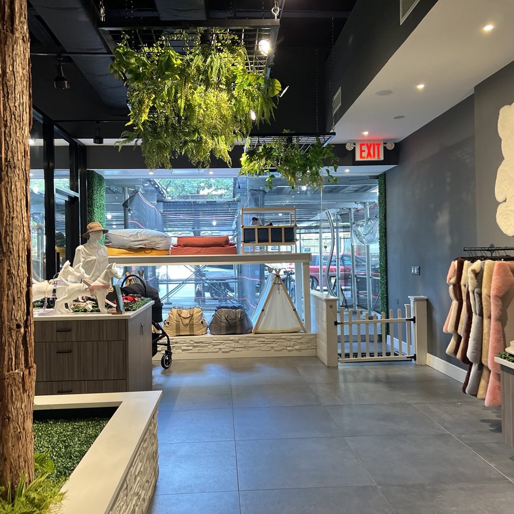 Pupstudio - Lobby - Pet Stores Near Me - New York, New York Pupstudio - Lobby - Pet Stores Near Me - New York, New York