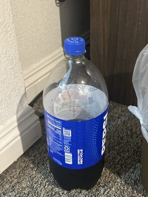 Serene Vegas Boutique Hotel by null