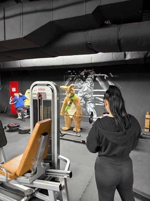 Social spots from Rocky Road Gym