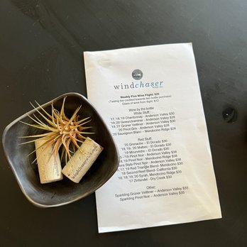 Windchaser Wine - Today's wine list and a very happy air plant - Wineries Near Me - Richmond, California Windchaser Wine - Today's wine list and a very happy air plant - Wineries Near Me - Richmond, California