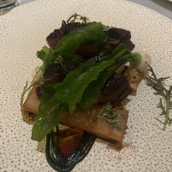 Rainbird - Duck... texture was perfect. - New American Near Me - Merced, California