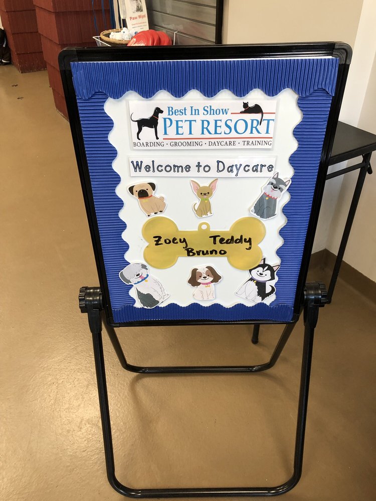 BEST IN SHOW PET RESORT 74 Photos & 54 Reviews 244 Herricks Rd