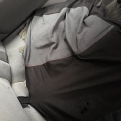 Syndicate Taxi - Dirty, disgusting unsanitary cab.  fumigation is needed. Wtf