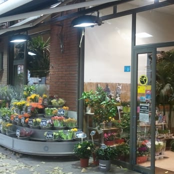 Monceau Fleurs - Florists Near Me - Toulouse, 31