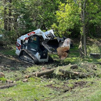 Trees And Stumps - Big Tree Removal - Tree Services Near Me - Wayne, Michigan Trees And Stumps - Big Tree Removal - Tree Services Near Me - Wayne, Michigan
