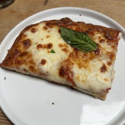 Plain pizza slice
