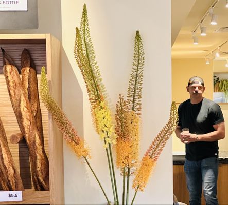 Manifest Bread by null