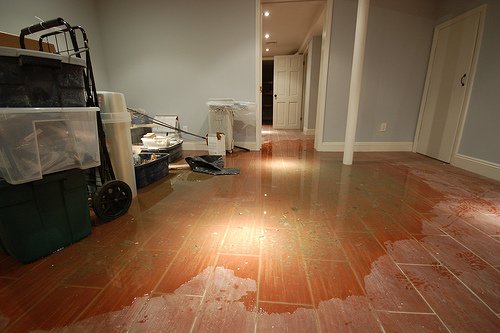 Pegasus Roofing & Construction