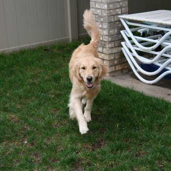 Bakers Dog Care - Pet Sitting Near Me - Secaucus, New Jersey Bakers Dog Care - Pet Sitting Near Me - Secaucus, New Jersey