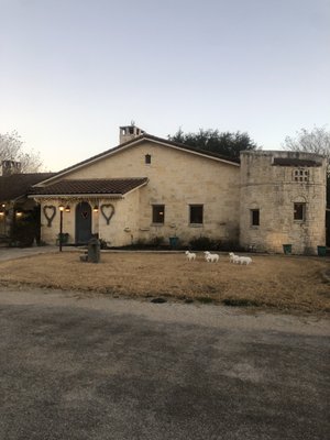 The Laurel Tree by null