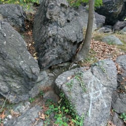 Savin Hill Park - Outcroppings of Puddingstone.