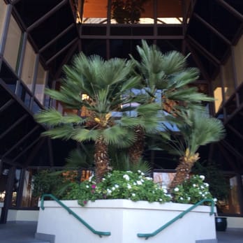 Tim Kehl, CPA - Accountants Near Me - San Jose, California Tim Kehl, CPA - Accountants Near Me - San Jose, California