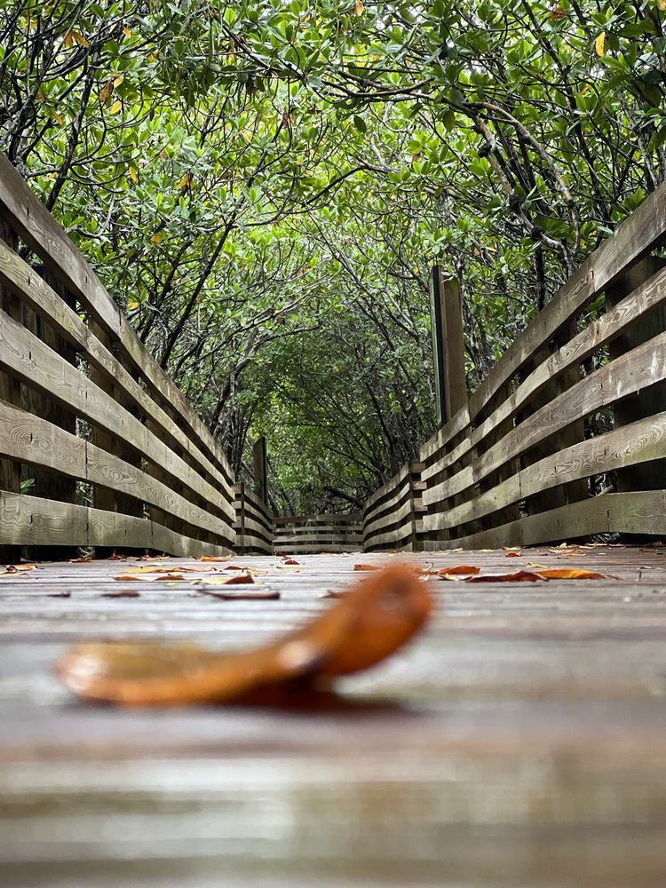 Peck Lake Park Image