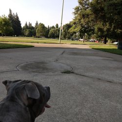 Zacharias Park