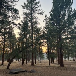 Coyote Ridge Campground