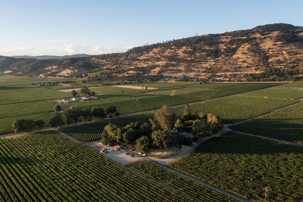 PlumpJack Estate Winery by null