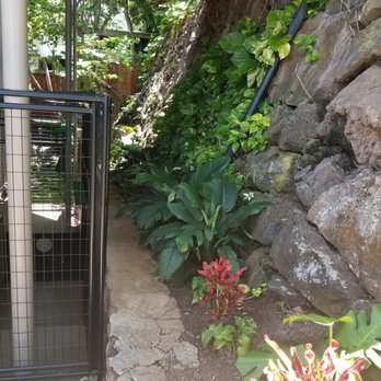 Hapa Landscaping - Landscaping Near Me - Honolulu, Hawaii Hapa Landscaping - Landscaping Near Me - Honolulu, Hawaii
