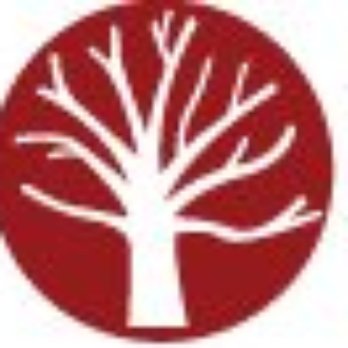 Bonsai Outlet - Bonsai Tools, Pots, and Supplies - Nurseries & Gardening Near Me - Bellingham, Massachusetts Bonsai Outlet - Bonsai Tools, Pots, and Supplies - Nurseries & Gardening Near Me - Bellingham, Massachusetts