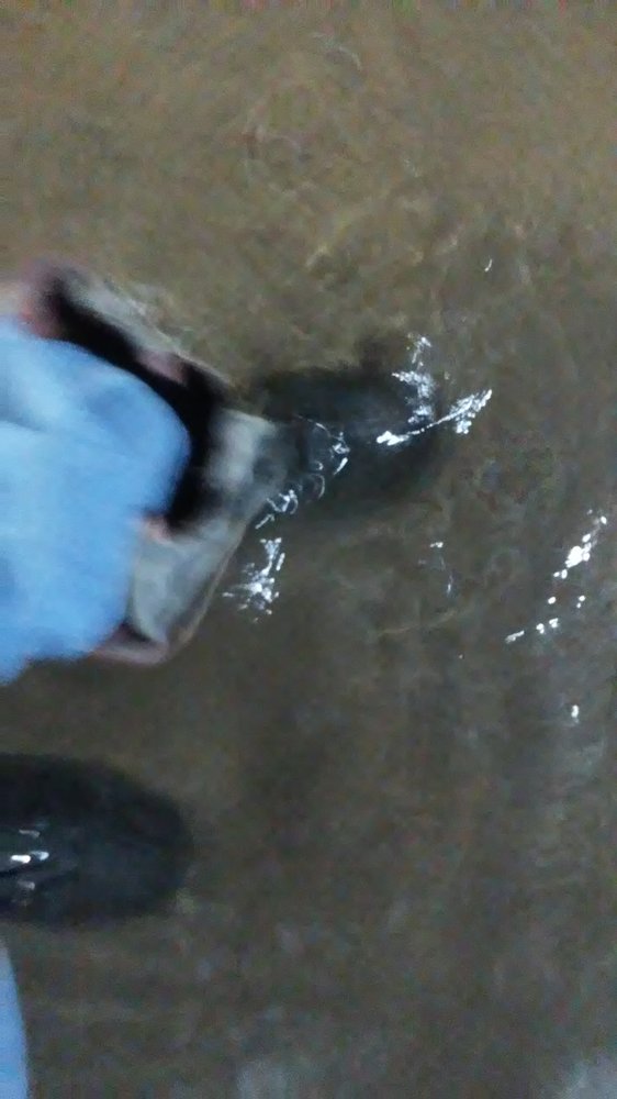 Slide of AAA Sewer & Drain Cleaning