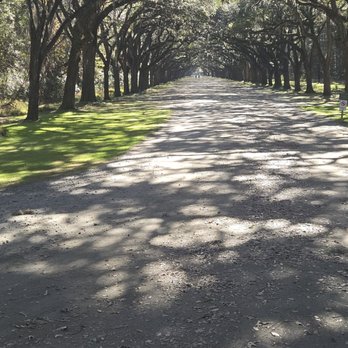 Wormsloe State Historic Site - 404 live oak trees make up the driveway entrance - Landmarks & Historical Buildings Near Me - Savannah, Georgia
