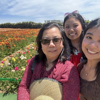 The Flower Fields - Venues & Event Spaces Near Me - Carlsbad, California