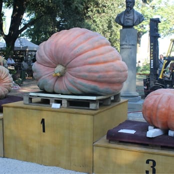 Murabilia 2012 - Festivals Near Me - Lucca, LU