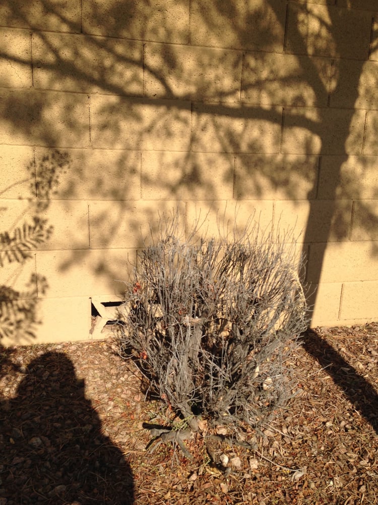 Renaissance Community Partners - property management company in Gilbert, AZ