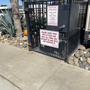 Lucky Dog Pet Resort - Hours & Rules - Pet Sitting Near Me - Nipomo, California Lucky Dog Pet Resort - Hours & Rules - Pet Sitting Near Me - Nipomo, California
