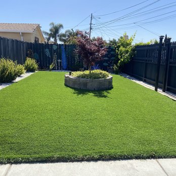 Gardening service and construction - Removed Weed cleanup spray the Weed Control and trimming the plants. - Gardeners Near Me Gardening service and construction - Removed Weed cleanup spray the Weed Control and trimming the plants. - Gardeners Near Me