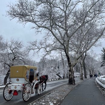 Central Park Conservancy - Central park in Feb 2022 - Parks Near Me - New York, New York