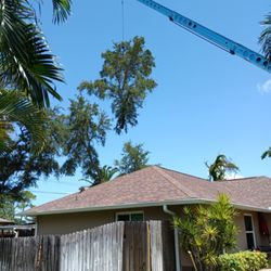 Deans Tree Service