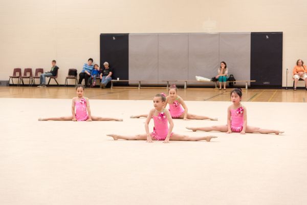 Toronto Aspirals Gymnastics Centre Gymnastique 6 Bradwick Drive Vaughan On Numero De Telephone