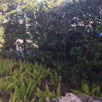 Hotel Biba - Hotels Near Me - West Palm Beach, Florida Hotel Biba - Hotels Near Me - West Palm Beach, Florida