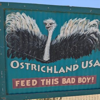 Ostrichland USA - Attraction Farms Near Me - Solvang, California Ostrichland USA - Attraction Farms Near Me - Solvang, California