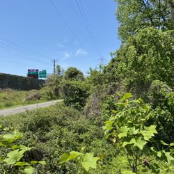 Idylwood Park - The highway right there.