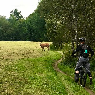 Kingdom Trails by null