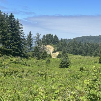 Oswald West State Park - Trail for Devils Cauldron - Parks Near Me - Manzanita, Oregon Oswald West State Park - Trail for Devils Cauldron - Parks Near Me - Manzanita, Oregon