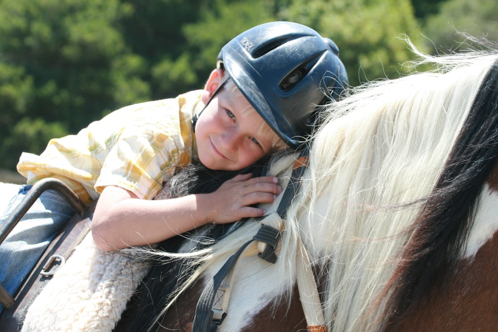 Giant Steps Therapeutic Equestrian Center Logo