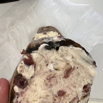 Bagel Land - A BURNT BAGEL WITH NO CREAM CHEESE - Bagels Near Me - Rochester, New York Bagel Land - A BURNT BAGEL WITH NO CREAM CHEESE - Bagels Near Me - Rochester, New York